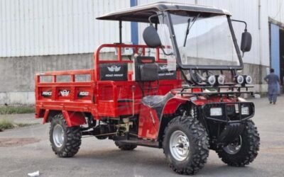 4-wheeler Off-road Loader