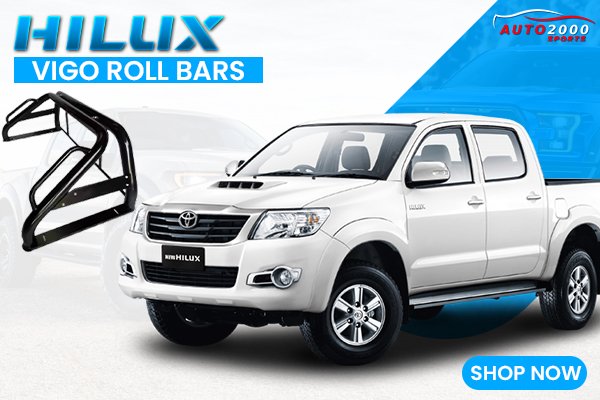 Vigo Roll Bars